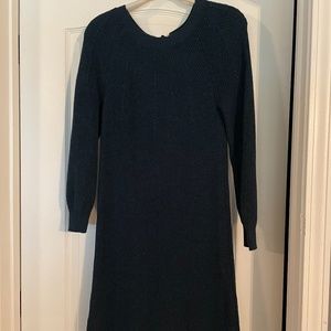 Loft sweater dress